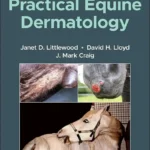 Practical Equine Dermatology, 2nd Edition pdf cover