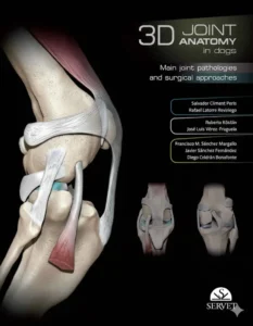 3D Joint Anatomy In Dogs Main Joint Pathologies and Surgical Approaches