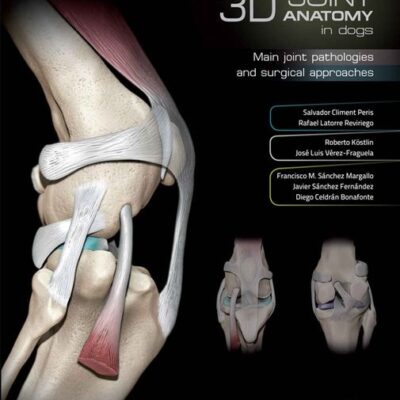 3D Joint Anatomy In Dogs: Main Joint Pathologies and Surgical Approaches 3D Joint Anatomy In Dogs: Main Joint Pathologies and Surgical Approaches