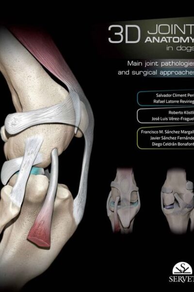 3D Joint Anatomy In Dogs: Main Joint Pathologies and Surgical Approaches