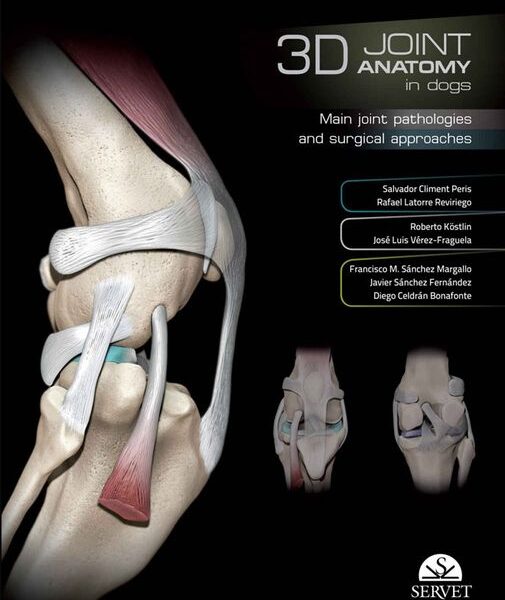 3D Joint Anatomy In Dogs: Main Joint Pathologies and Surgical Approaches