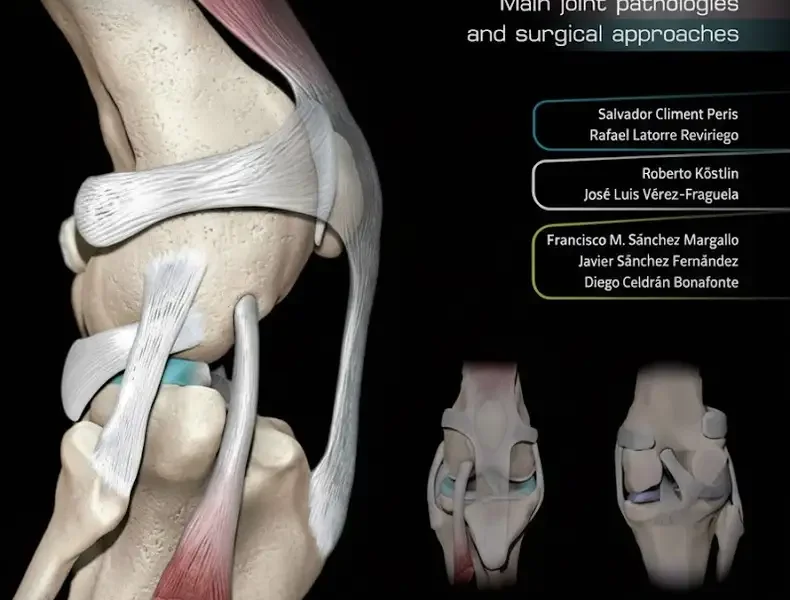 3D Joint Anatomy In Dogs Main Joint Pathologies and Surgical Approaches