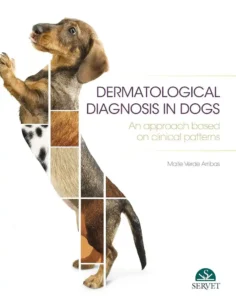 Dermatological Diagnosis in Dogs An Approach Based on Clinical Patterns cover