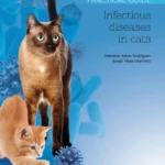 Infectious Diseases in Cats Practical Guide pdf cover
