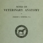 Notes on Veterinary Anatomy