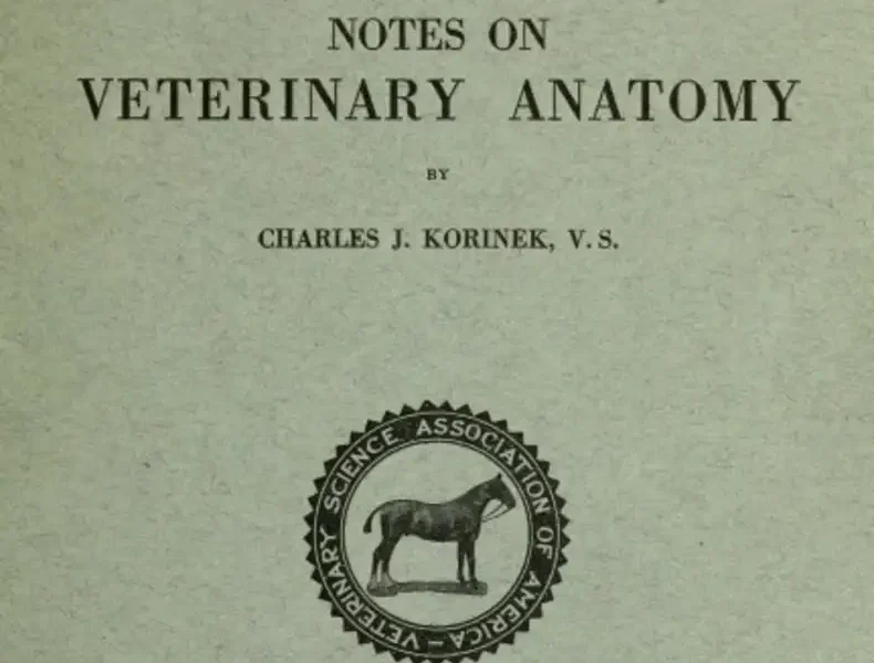 Notes on Veterinary Anatomy
