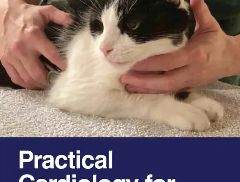 Practical Cardiology for Veterinary Nurses