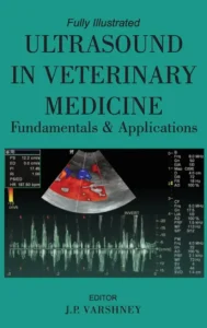 Ultrasound In Veterinary Medicine Fundamentals And Applications