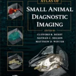 Atlas of Small Animal Diagnostic Imaging pdf cover