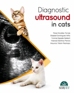 Diagnostic Ultrasound in Cats cover