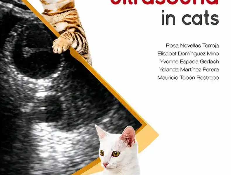 Diagnostic Ultrasound in Cats cover