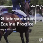 ECG Interpretation in Equine Practice pdf cover