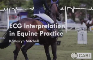 ECG Interpretation in Equine Practice pdf cover