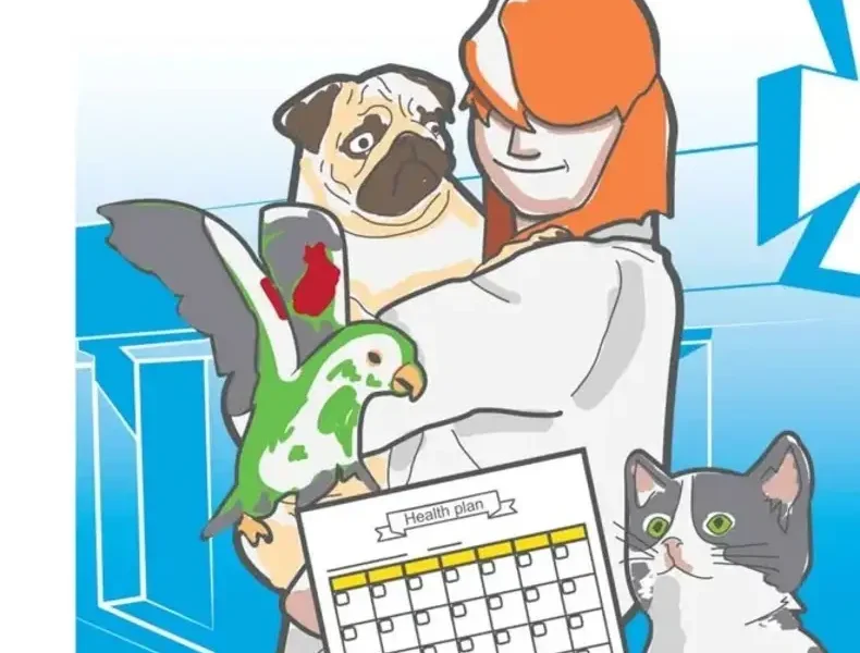 Health Plans pdf cover