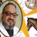Horse Colic What Can We Do