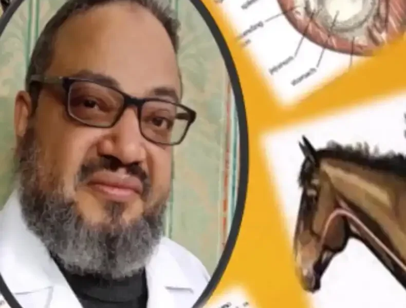 Horse Colic What Can We Do