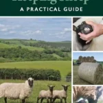 Keeping Sheep A Prectical Guide pdf cover