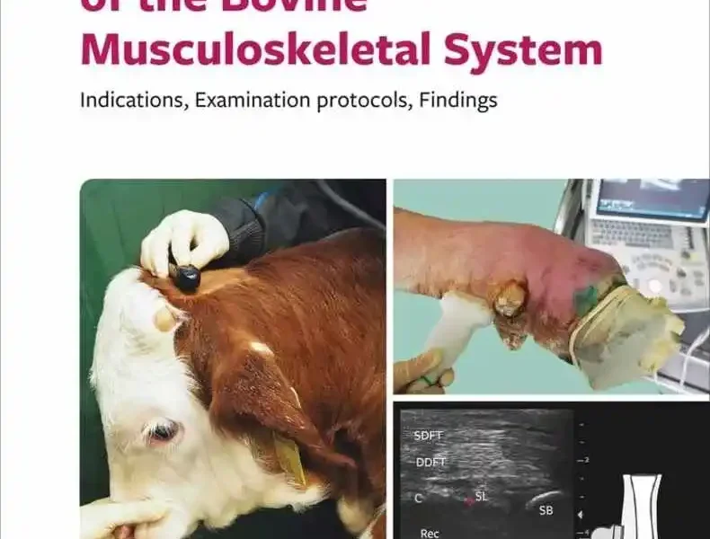 Ultrasonography of the Bovine Musculoskeletal System: Indications, Examination Protocols, Findings pdf