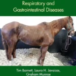 Concise Textbook of Equine Clinical Practice Book 3 Respiratory and Gastrointestinal Diseases