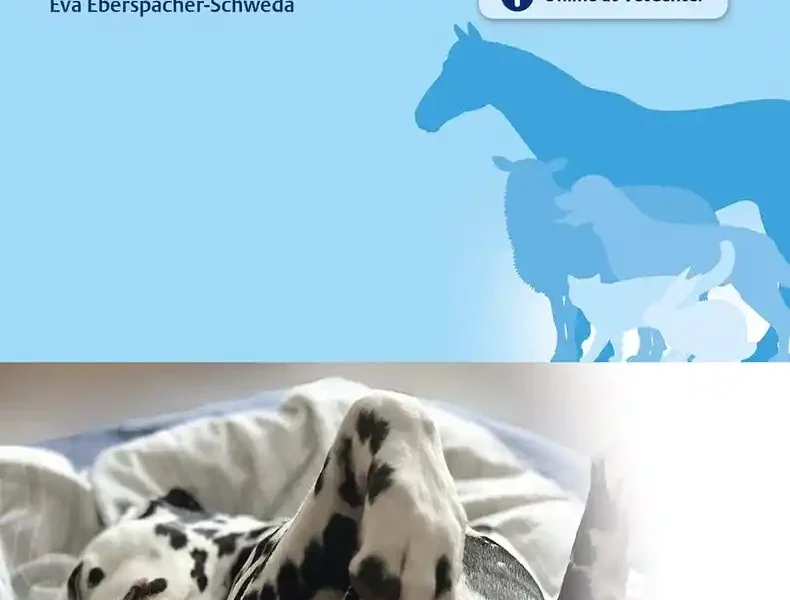 AnaesthesiaSkills in Veterinary Medicine Perioperative Management in Small, Companion and Domestic Animals