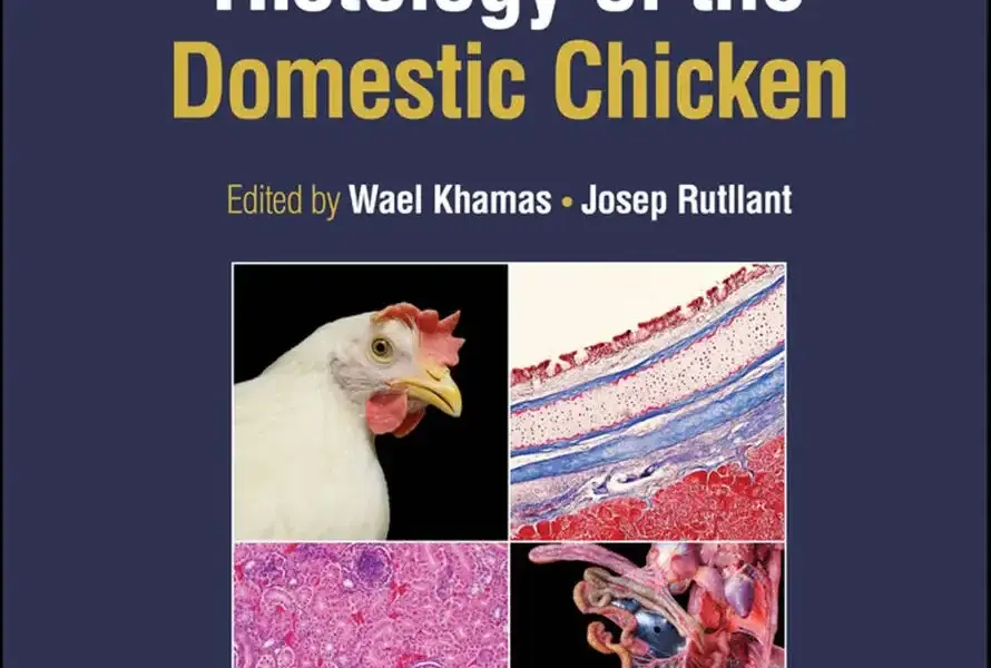 Anatomy and Histology of the Domestic Chicken