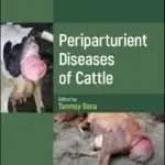 Periparturient Diseases of Cattle