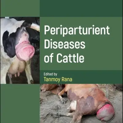 Periparturient Diseases of Cattle