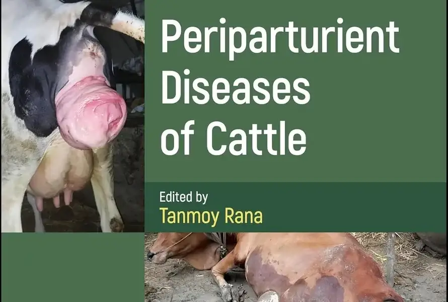 Periparturient Diseases of Cattle