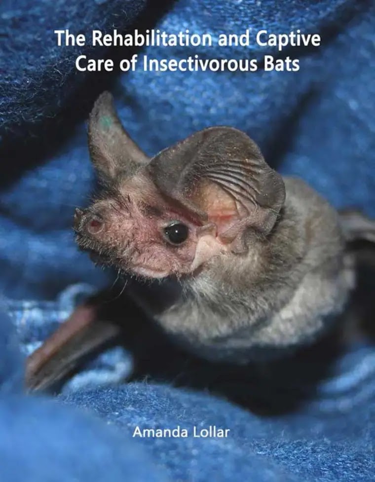 The Rehabilitation and Captive Care of Insectivorous Bats, Revised Edition