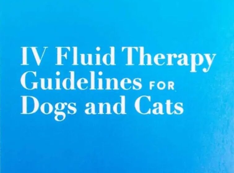 VetPocket IV Fluid Therapy Guidelines for Dogs and Cats