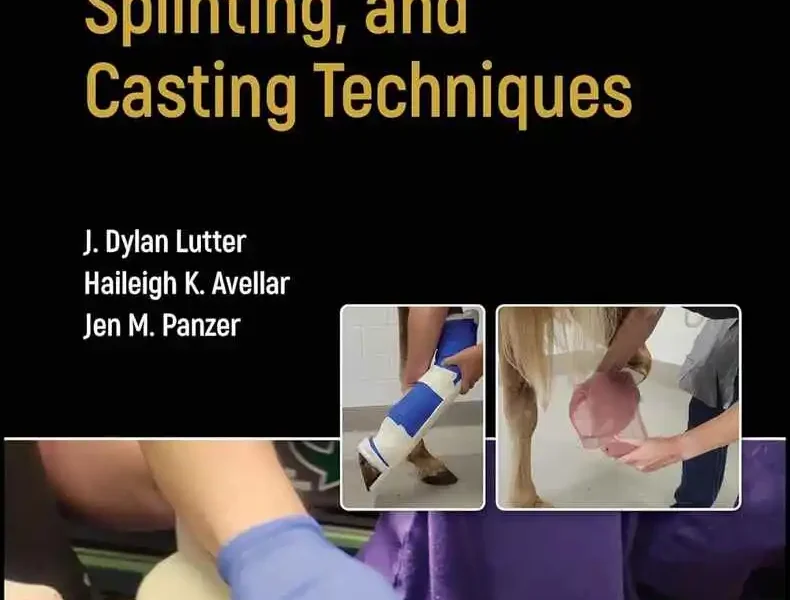 Equine Bandaging, Splinting, and Casting Techniques