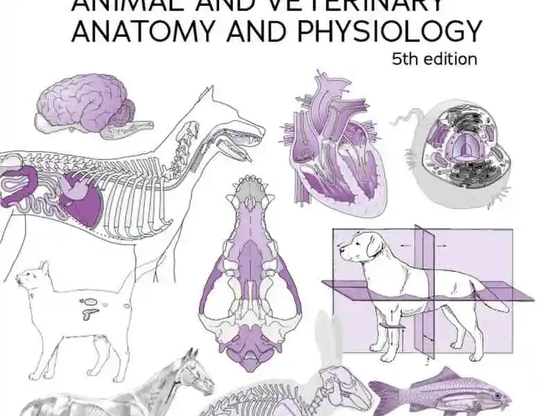 Introduction to Animal and Veterinary Anatomy and Physiology, 5th Edition