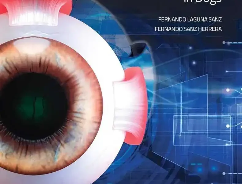 3D Ophthalmology in Dogs