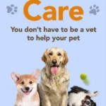 5-Step Canine Care You Don’t Have to be a Vet to Help Your Pet