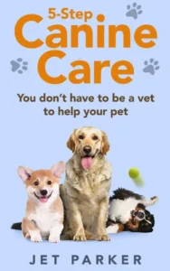 5-Step Canine Care You Don’t Have to be a Vet to Help Your Pet