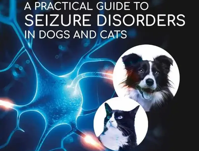A Practical Guide to Seizure Disorders in Dogs and Cats