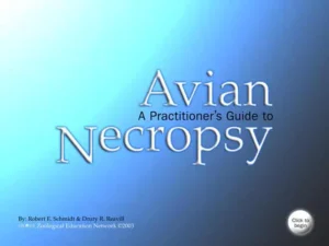 A Practitioner's Guide to Avian Necropsy