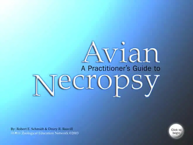 A Practitioner's Guide to Avian Necropsy