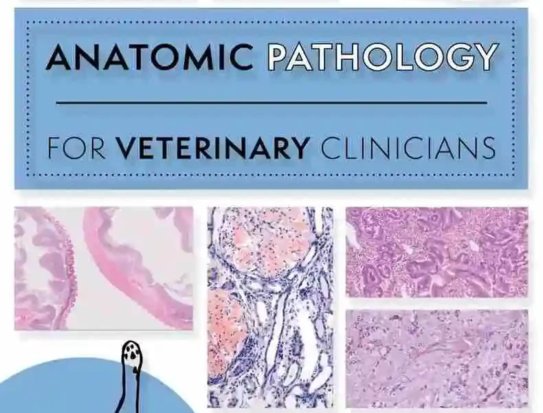 Anatomic Pathology for Veterinary Clinicians