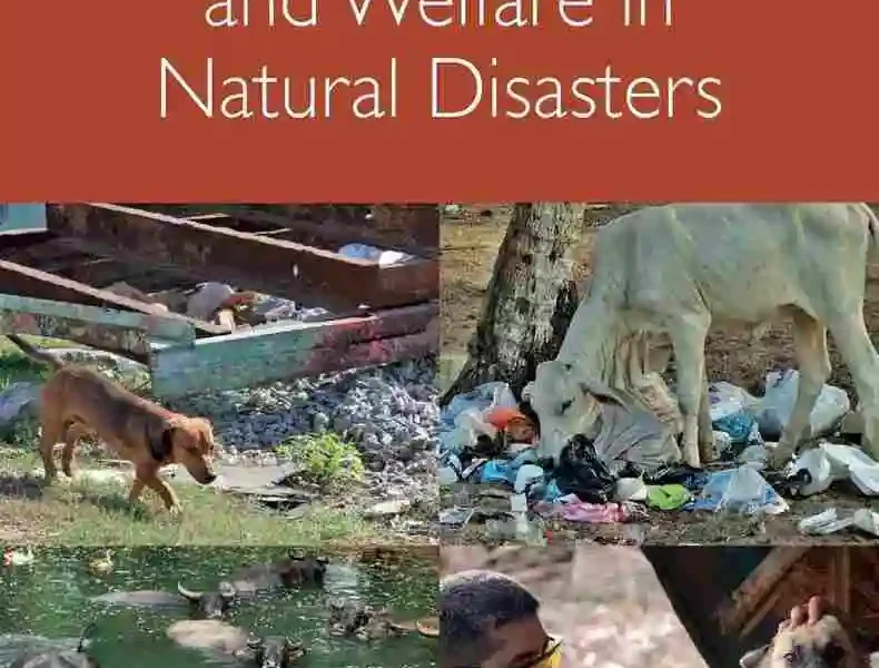 Animal Management and Welfare in Natural Disasters
