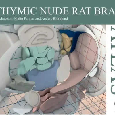 Athymic Nude Rat Brain Athymic Nude Rat Brain Atlas