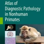 Atlas of Diagnostic Pathology in Nonhuman Primates