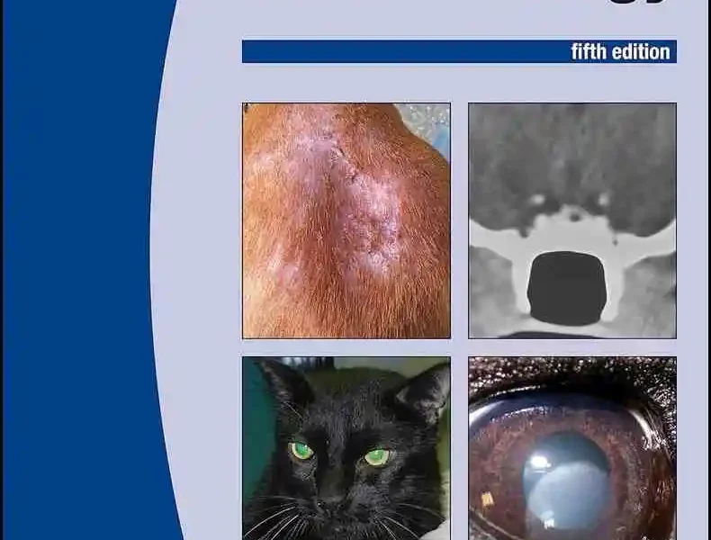 BSAVA Manual of Canine and Feline Endocrinology, 5th Edition