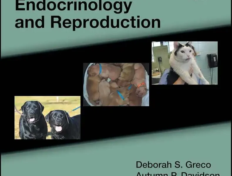 Blackwell’s Five-Minute Veterinary Consult Clinical Companion: Small Animal Endocrinology and Reproduction