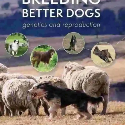 Breeding Better Dogs: Genetics and Reproduction