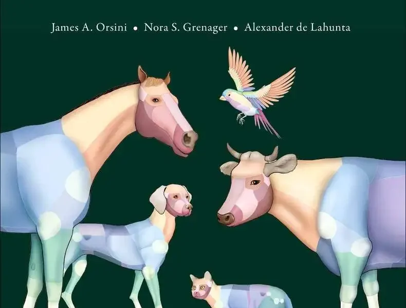 Comparative Veterinary Anatomy: A Clinical Approach