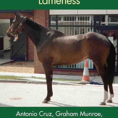 Concise Textbook of Equine Clinical Practice Book 1 Lameness