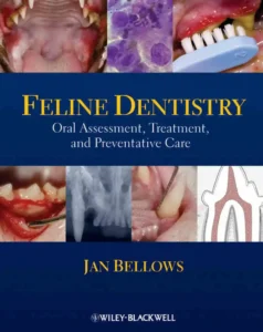 Feline Dentistry: Oral Assessment, Treatment, and Preventative Care