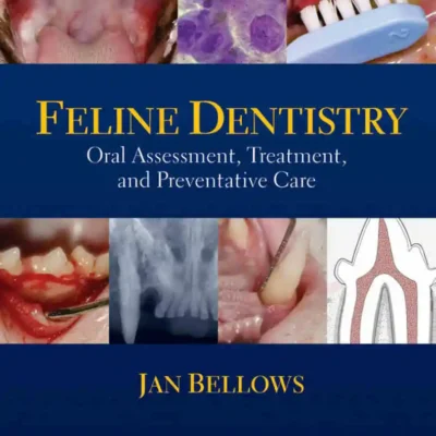 Feline Dentistry: Oral Assessment, Treatment, and Preventative Care Feline Dentistry: Oral Assessment, Treatment, and Preventative Care