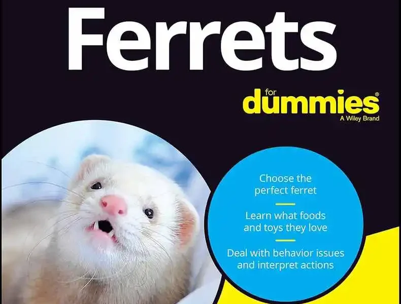 Ferrets For Dummies, 3rd Edition